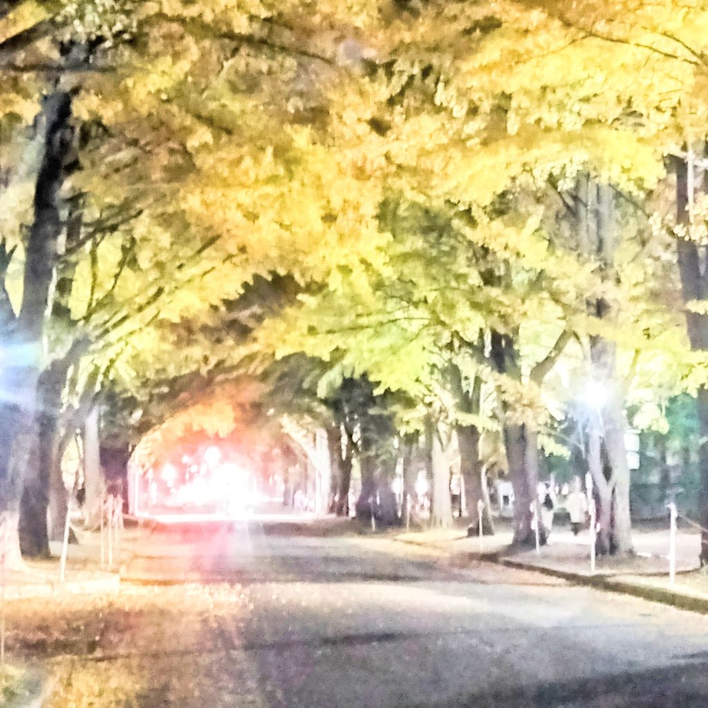 【first take】いちょう並木のセレナーデ/小沢健二様【歌】