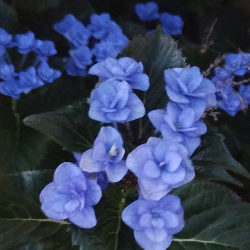 【朗読】いそがなくていい/ 宮田みゆ