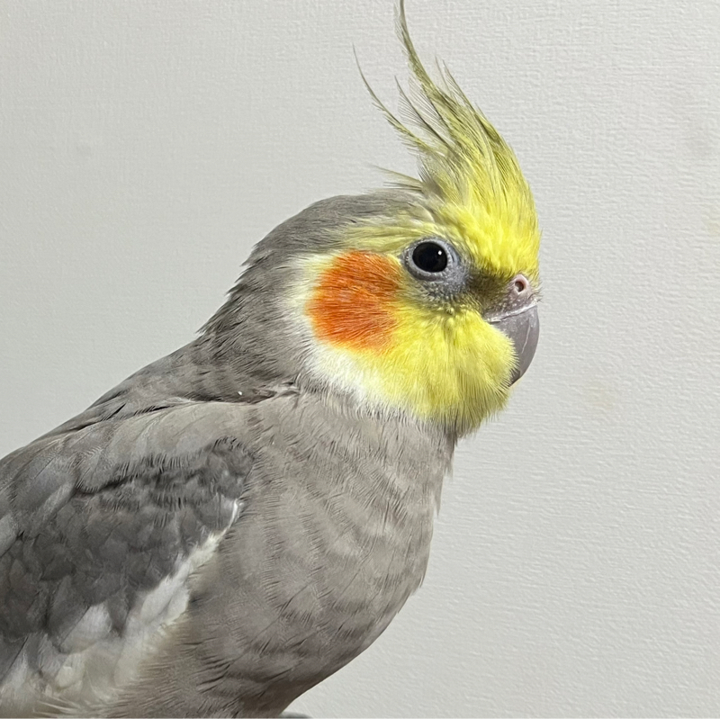 挨拶できんかったごめんなさい