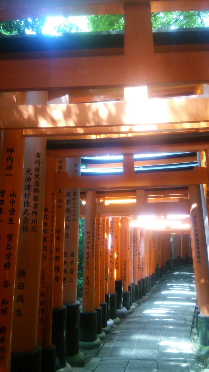 真夏にピッタリの怖い話