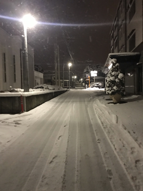 ＃2寝落ち日記 【貰ったネギについて？】