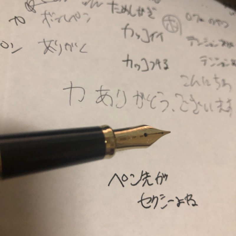 万年筆を買いました(^^) 嗜好品？　否、書きやすいよ！　紙の上をスラスラ滑る〜✒️