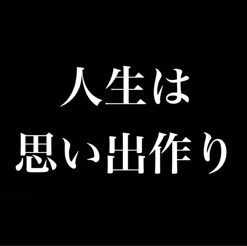 人生は思い出作り／記憶に残る経験を／1番ゴミなのが記憶にも残らないSNS徘徊ショート動画試聴