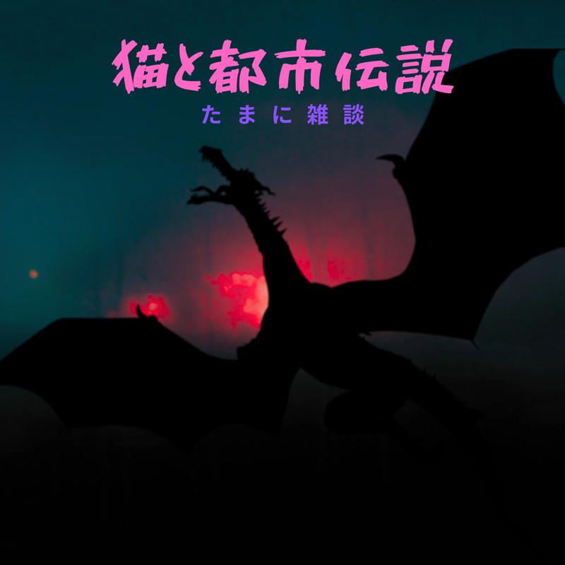 猫と都市伝説