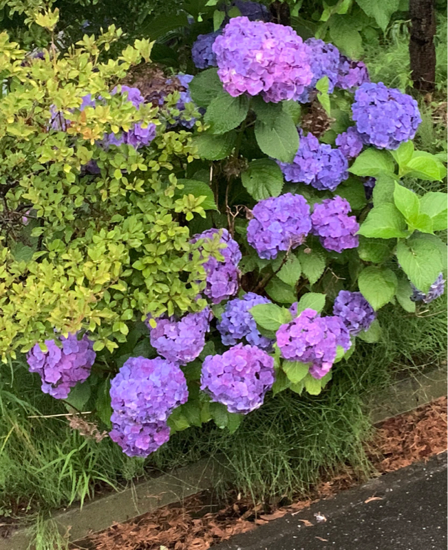 『アニヲタなっちの好き勝手に喋るラヂヲ特別企画〜朗読シアター１〜』