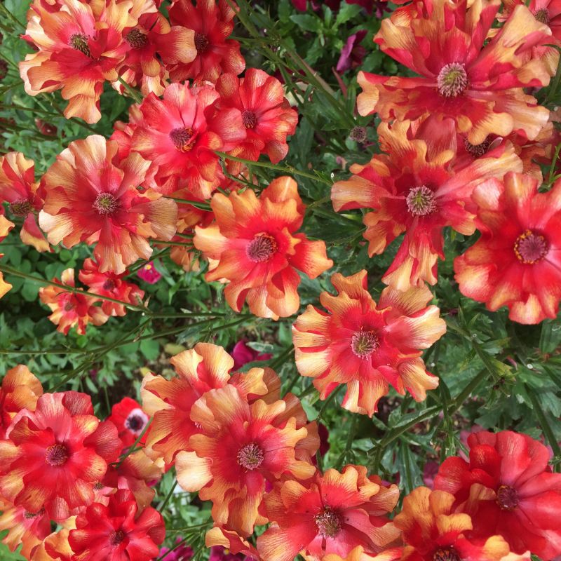 #3 LINEが苦手な話