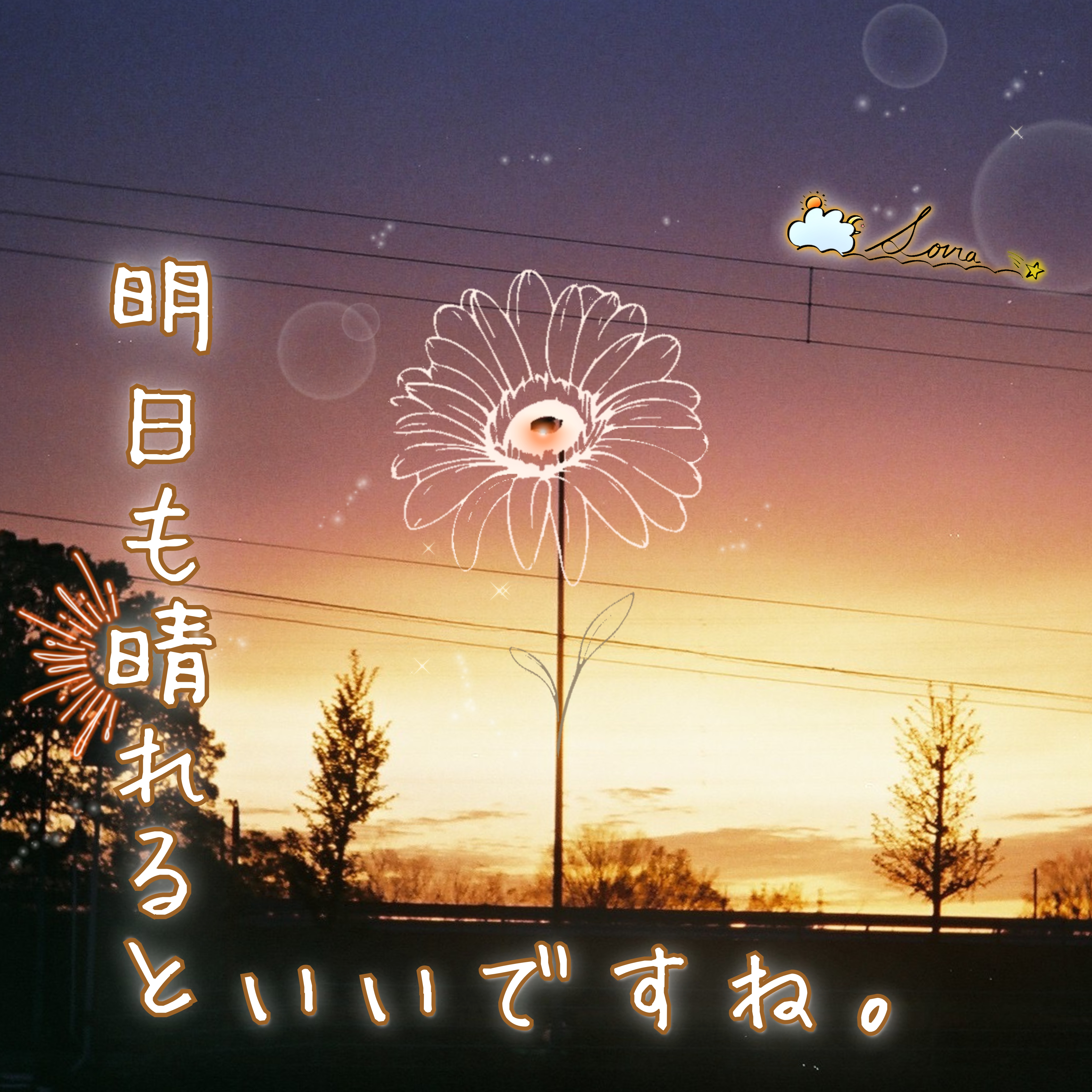 🌤22 明日も晴れるといいですね