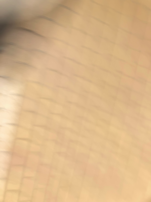 #9 どうなる火