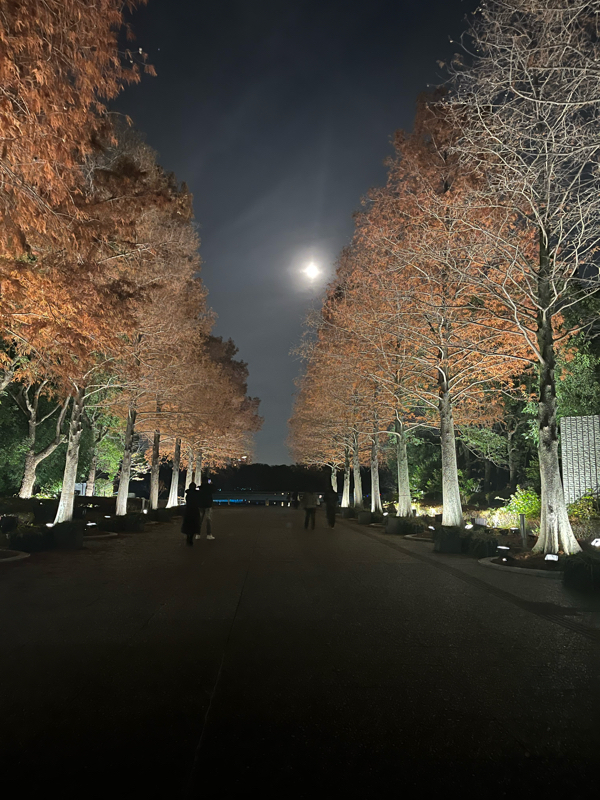 真夜中のふたりごとの番組