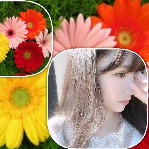 気まぐれNIセレナーデ