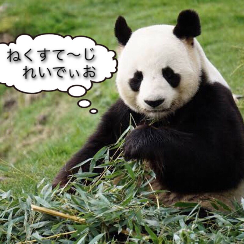 #3 他メンバーについて。何故ラジオを始めたか。
