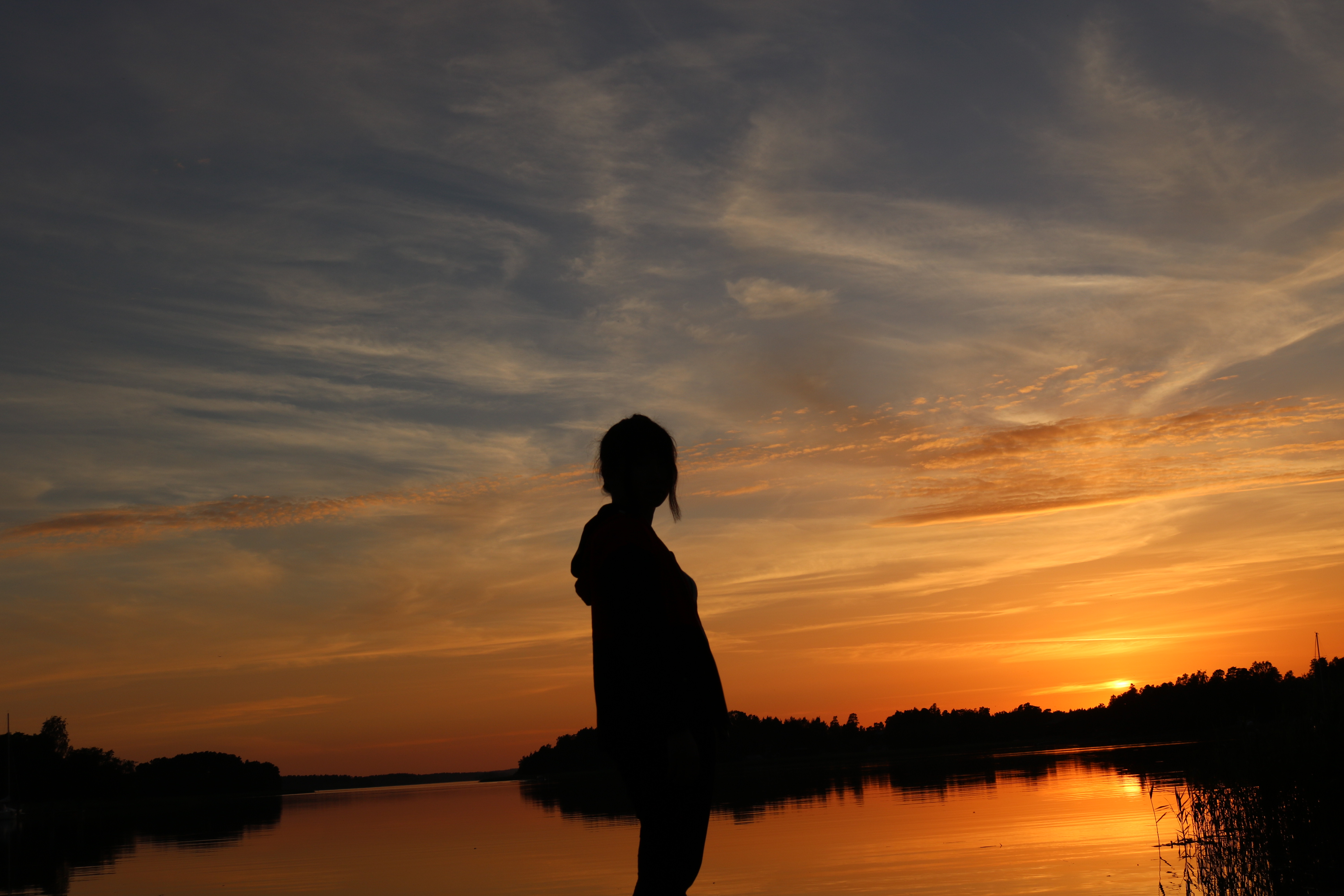 #2【大人の自由研究】顔の役割