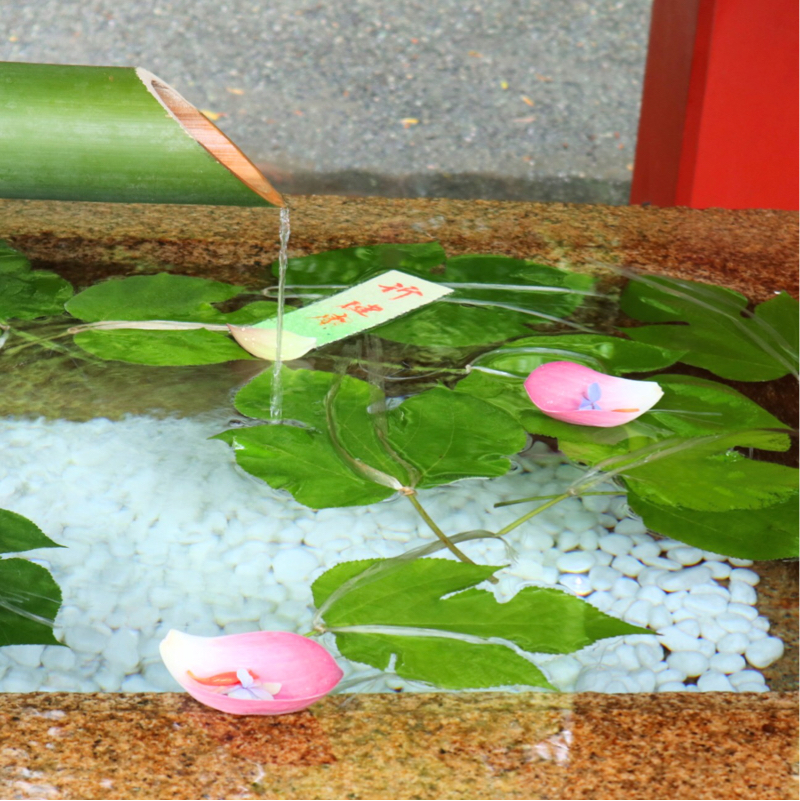 今日は何の日 7月19日夏チョコの日 もぐもぐちゃんのradiosns Radiotalk ラジオトーク