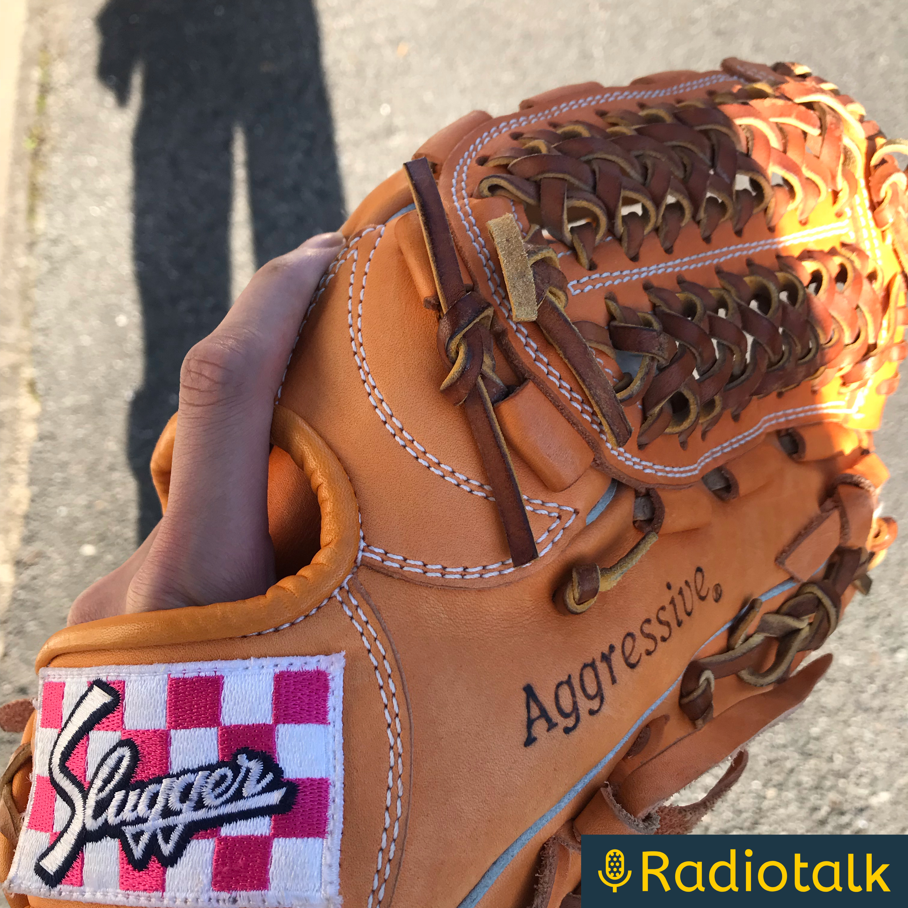 野球とハロプロが好きならそれでいいじゃない 野球とハロプロが好きならそれでいいじゃない