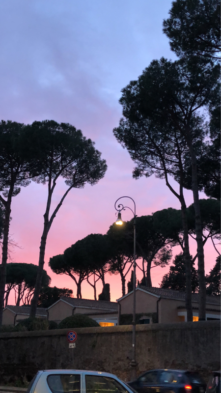 #4(前半)  細々した短い話と言葉制限あり感想