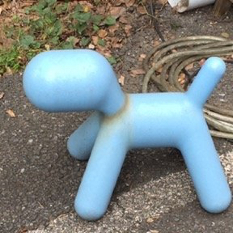 【あおいいぬ000】自己紹介とプチ雑談