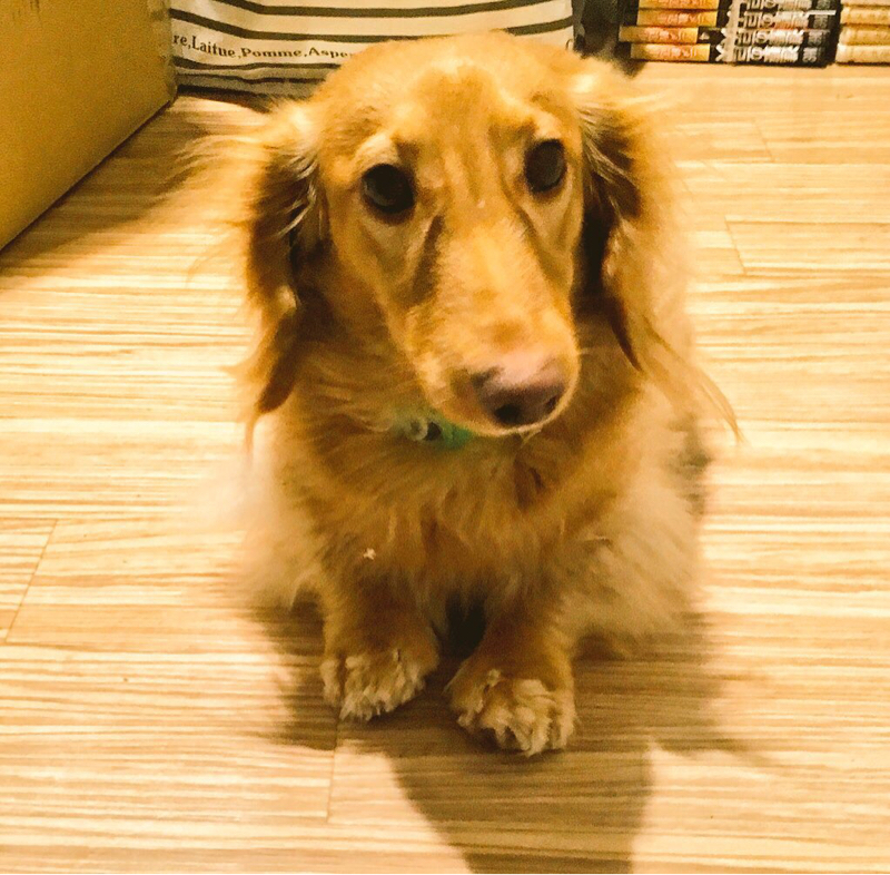 初めてのradiotalk！！ 