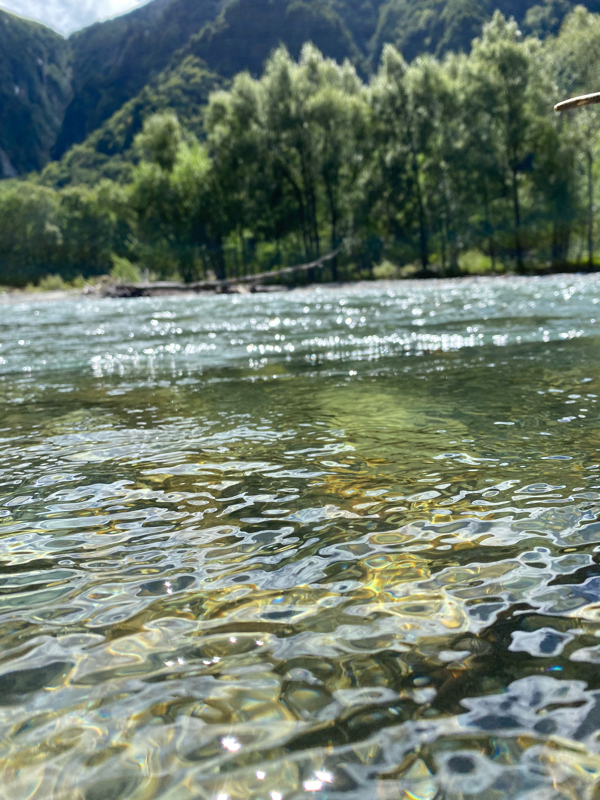 ご飯食べる時 何見ますか？*1.3
