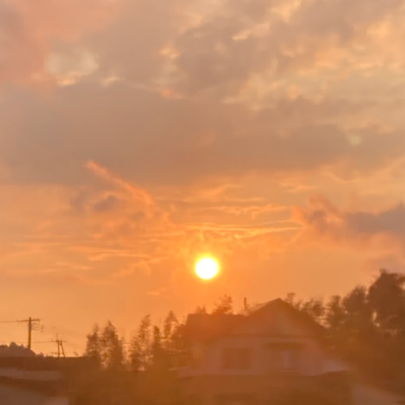 切ない話