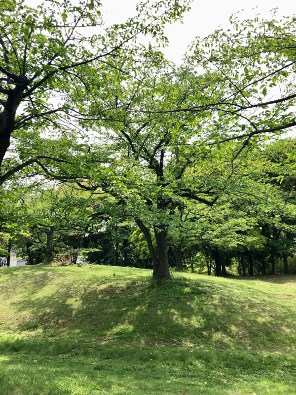 ゆるーい日常ラジオ