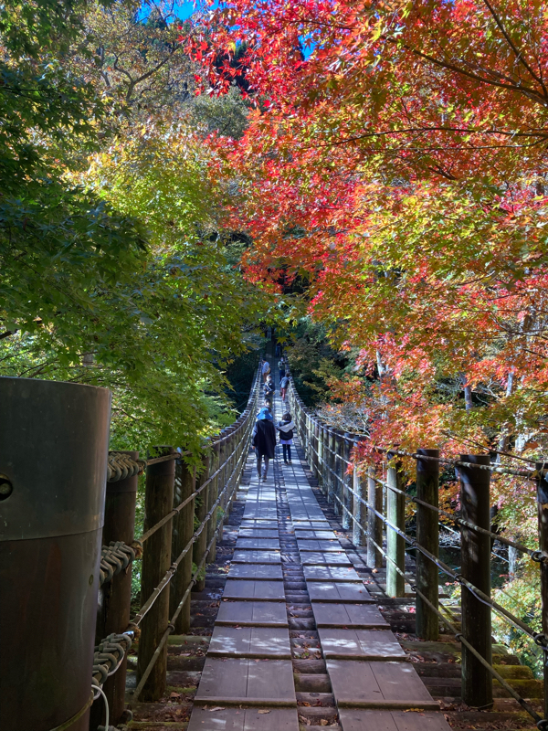 ゲーム配信の話