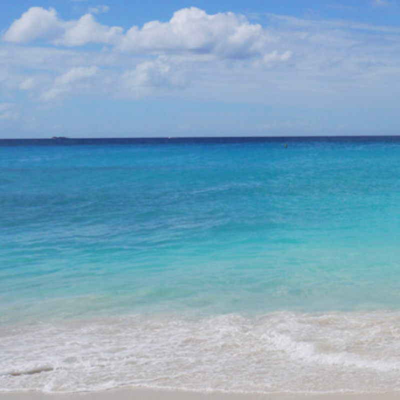 映画好きですか？