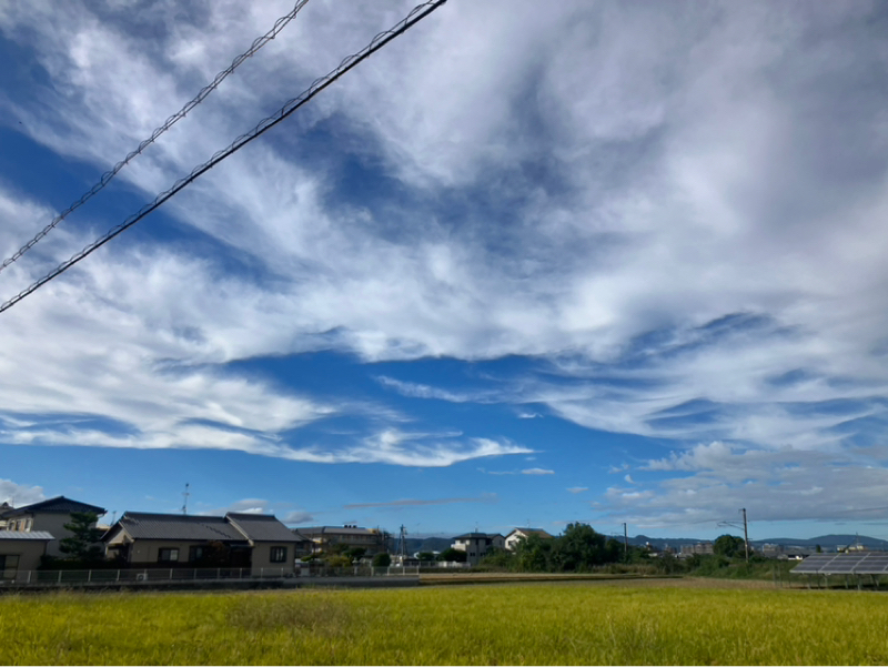 #39夏服が置き引きに合いました