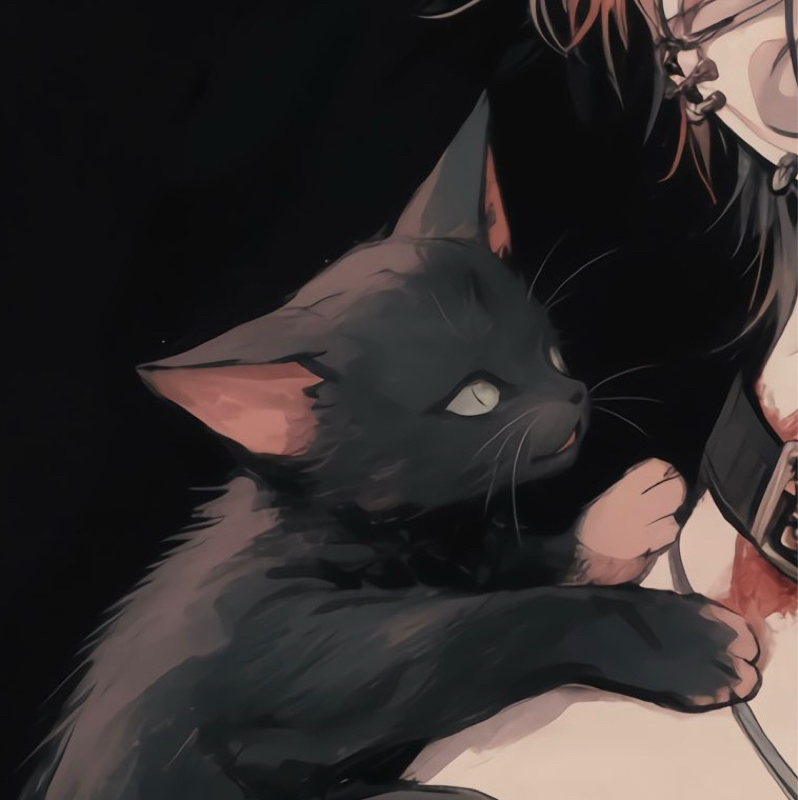 猫とだらだらだーこソング