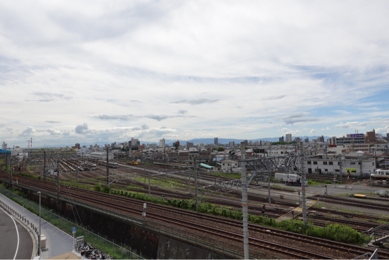 Screen of Life #16「29年間、冷蔵庫のありもので作ってるような人生」