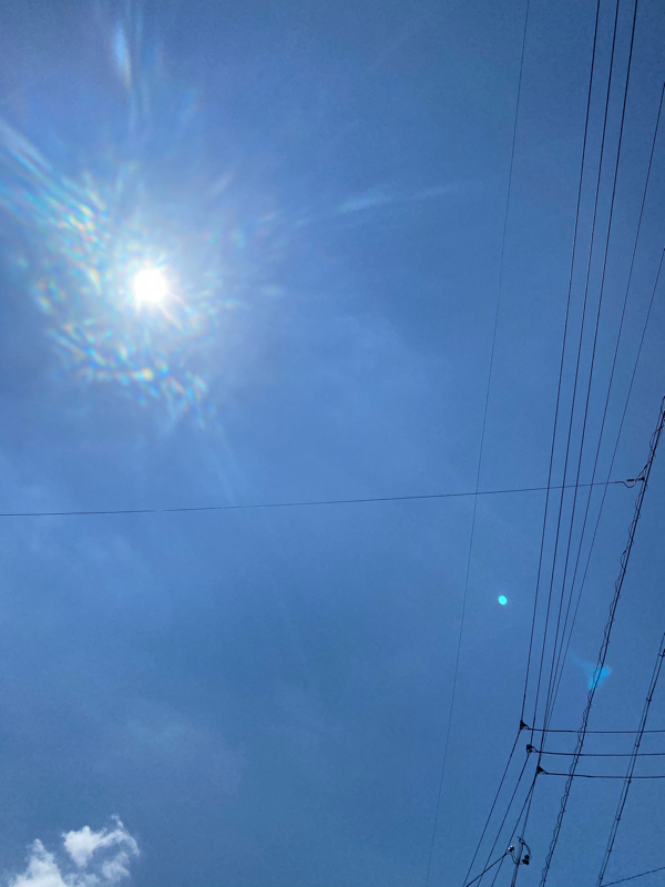 Screen of Life #20「この夏、Tsushima の夏。」