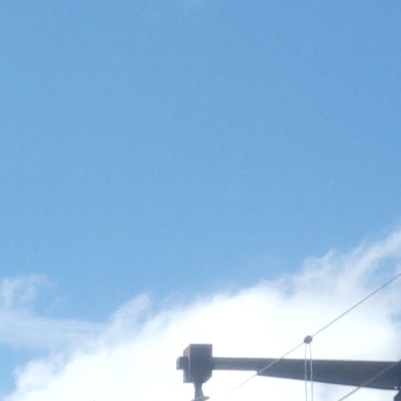 にゃす