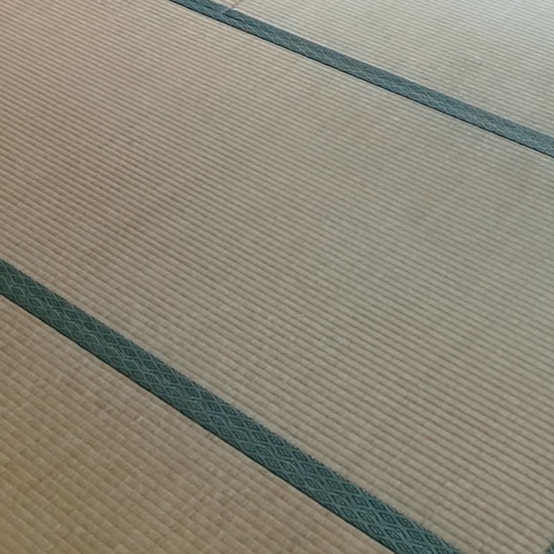 ニーヤソ（自転車熱）