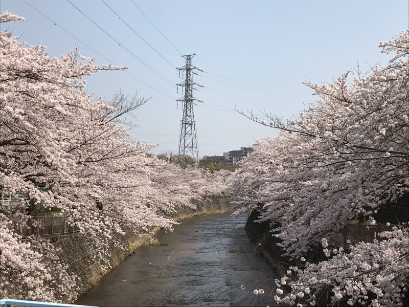 #7 誕生日の話。