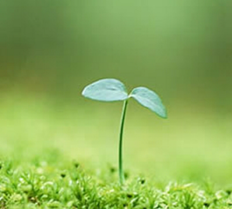 COCOON感想的な語り②