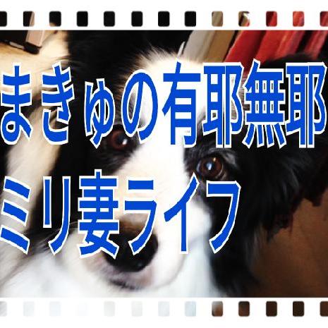 自己紹介のようなもの