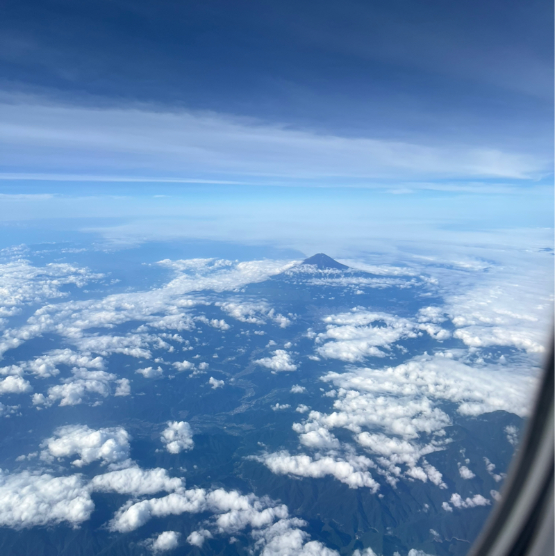 飛行機旅で事件発生…？#75