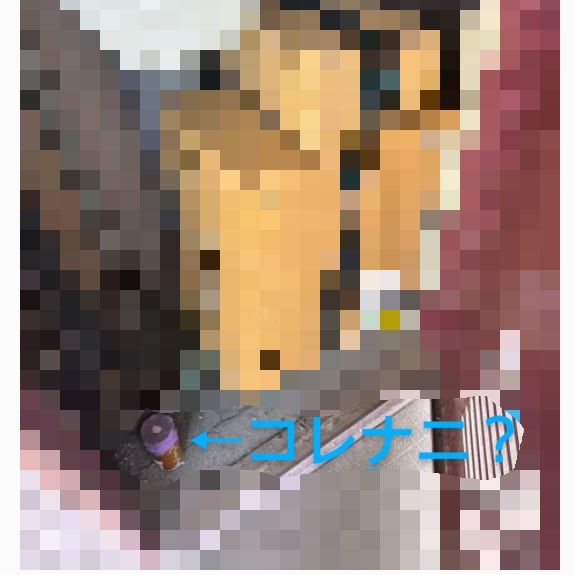 2026.2.22｢2月21日の背筋も凍る真冬のホラー話(ガチめ)&お買い物雑談｣