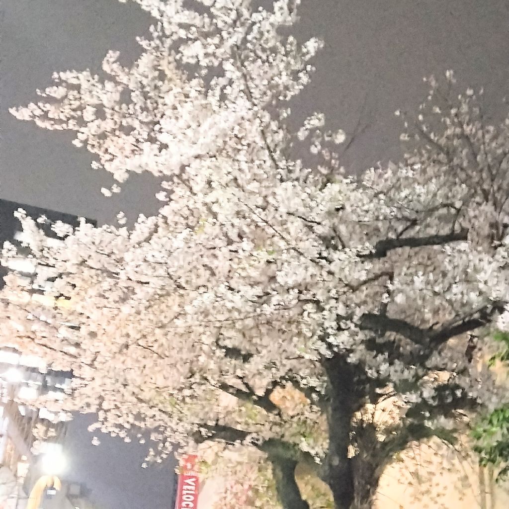 2026.4.6｢ネタバレせずにライブの感想を言う&推しにネタ内のセリフで合法的に名前を呼ばれる私｣