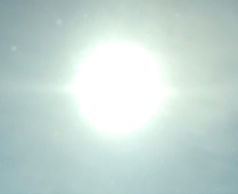 『ミッドサマー』を見た話