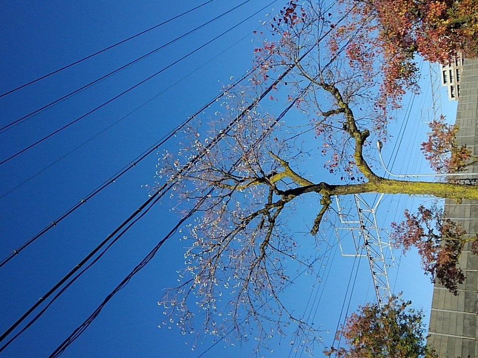 #27 天才吉田勝伝説エピソード5