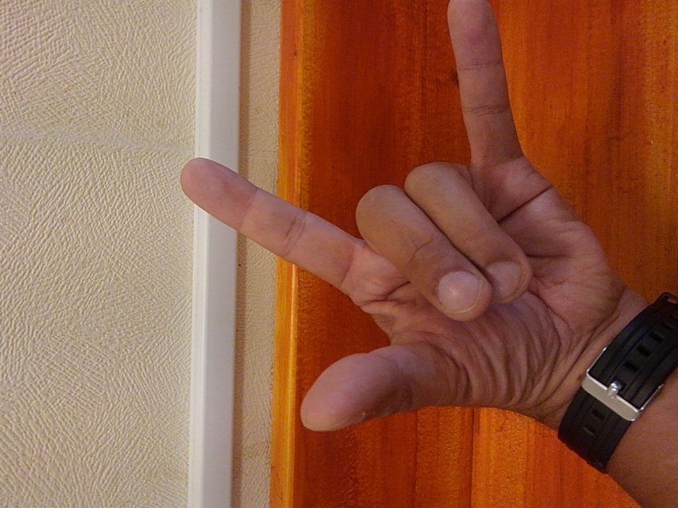 スーパーヒーロー ヨッシーの主題歌（ナレーションあり）