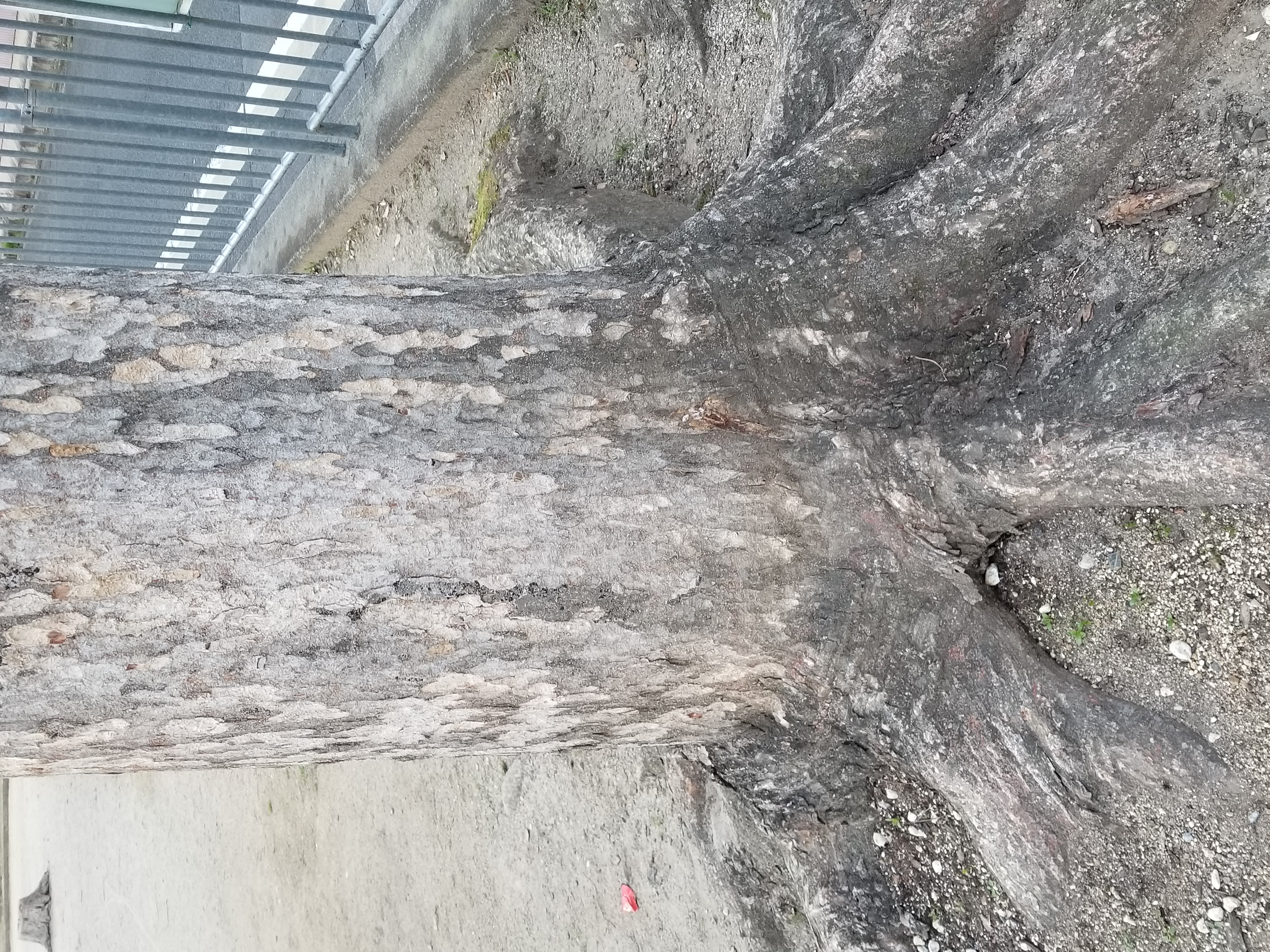 悩みと向き合うエネルギー