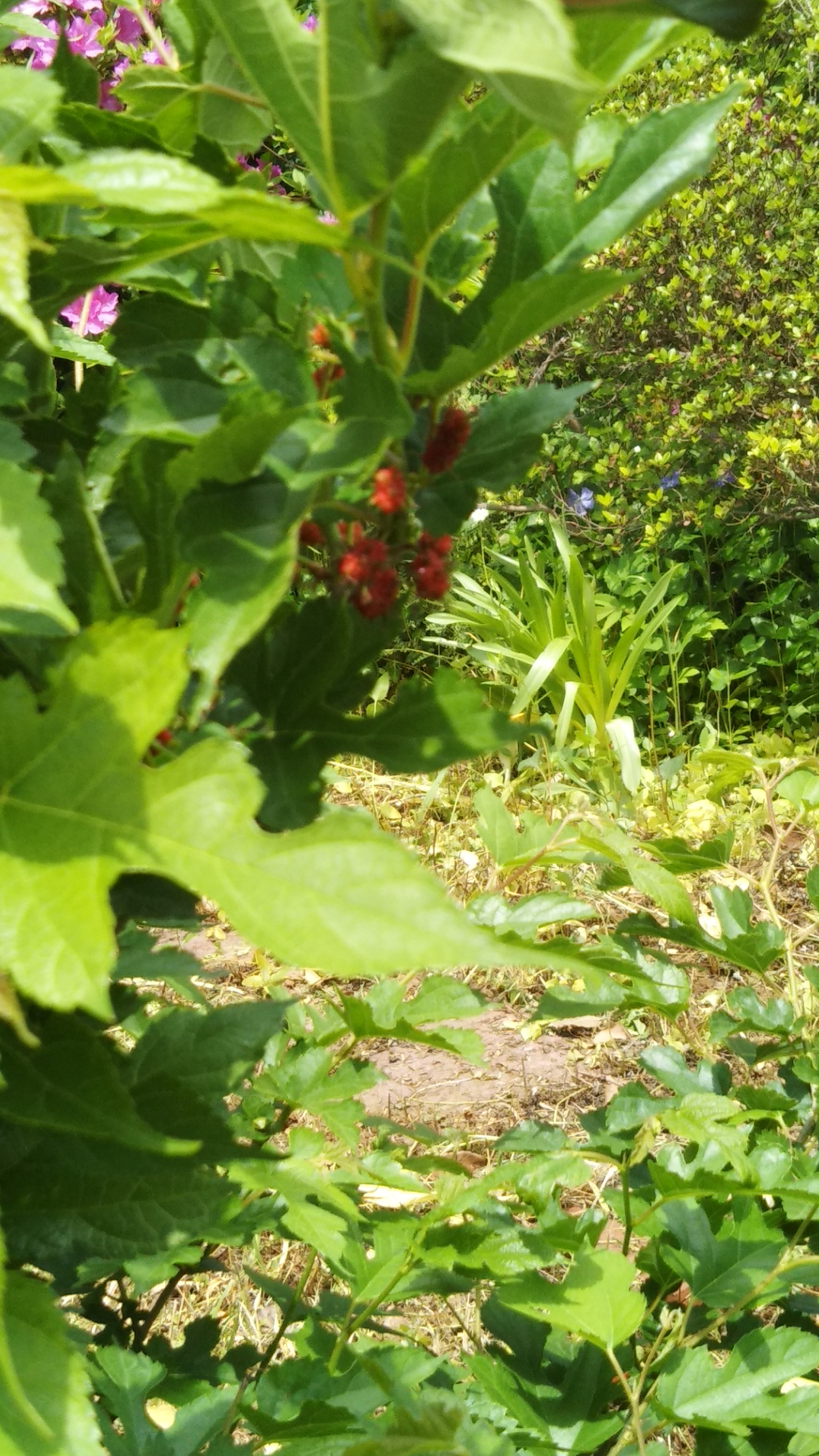 峠三吉『原爆詩集　序』