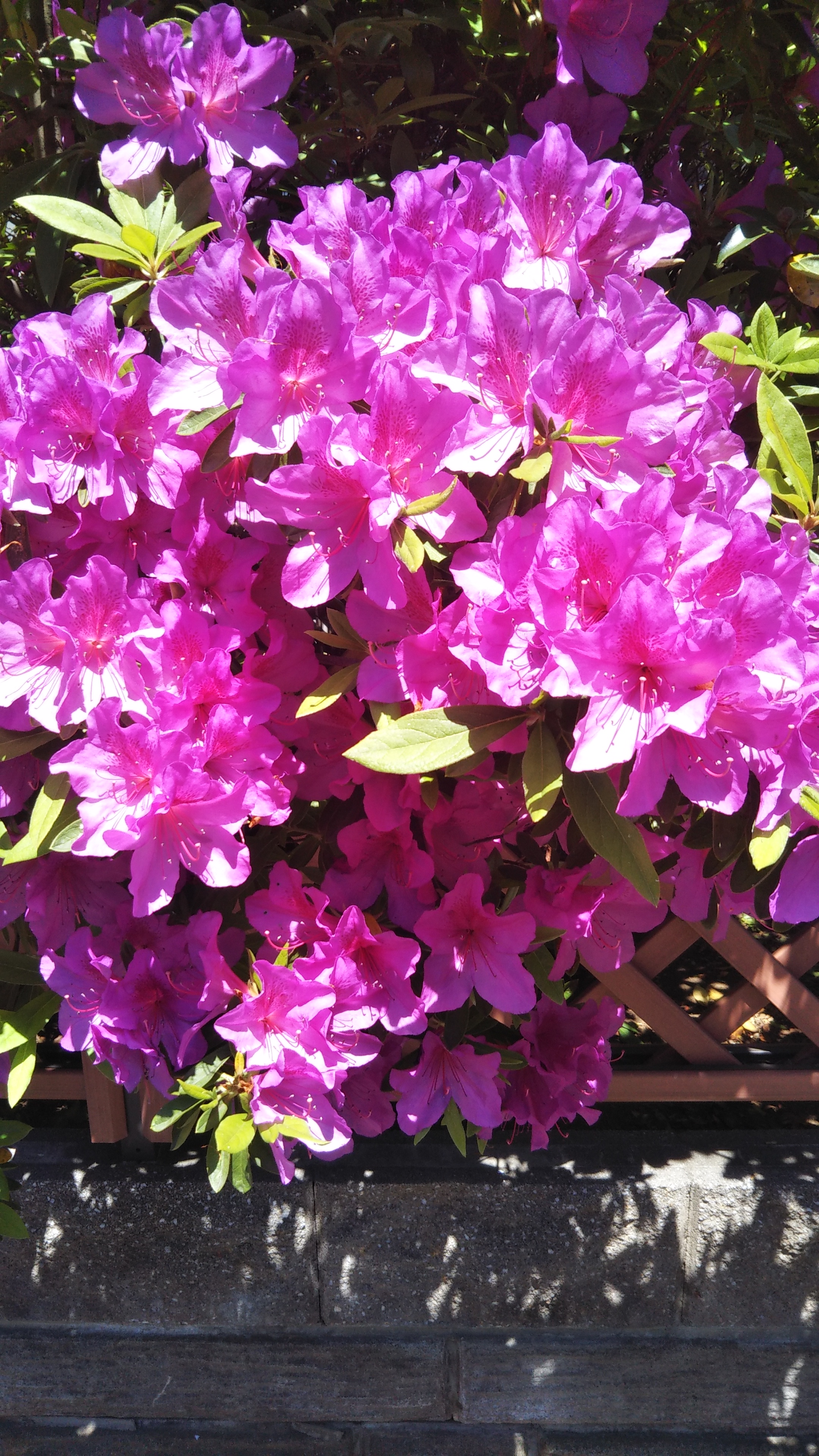 芥川龍之介『地獄変』