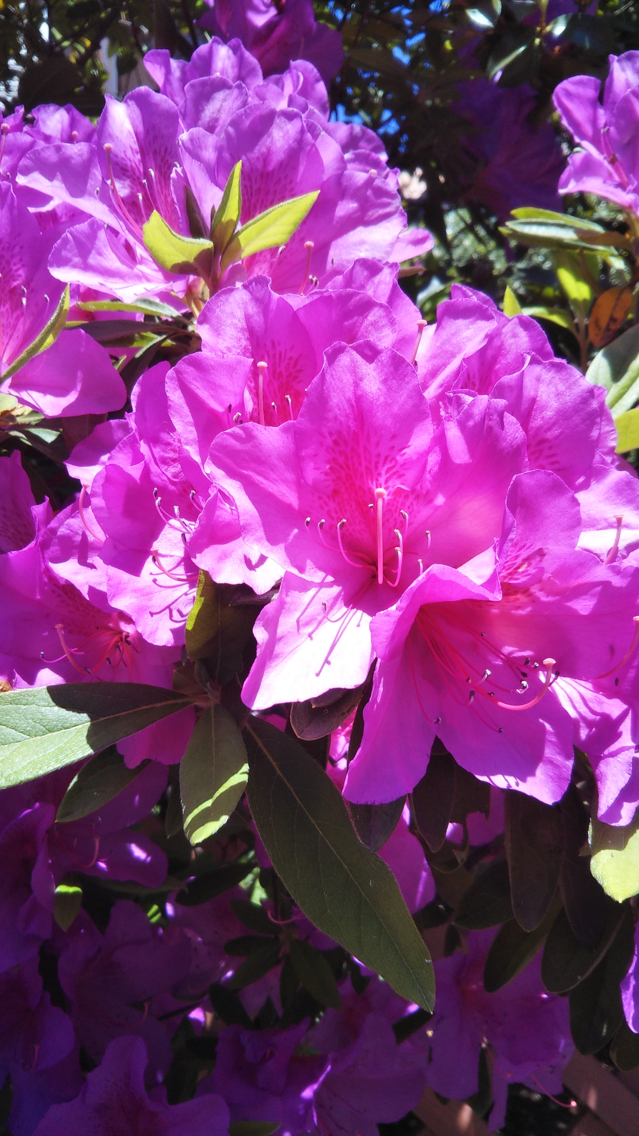 芥川龍之介『地獄変2』