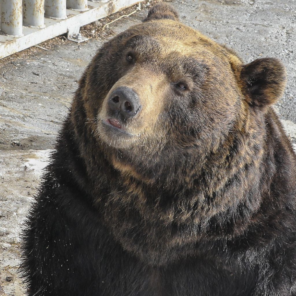 気まぐれトーク
