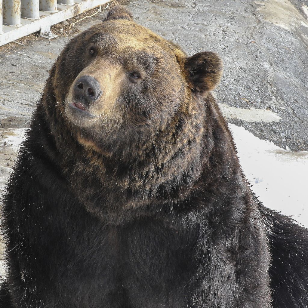 ぱぁあああああ　(練習中)