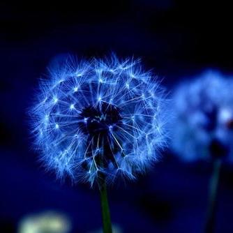 酔っぱらいの取り留めもない話