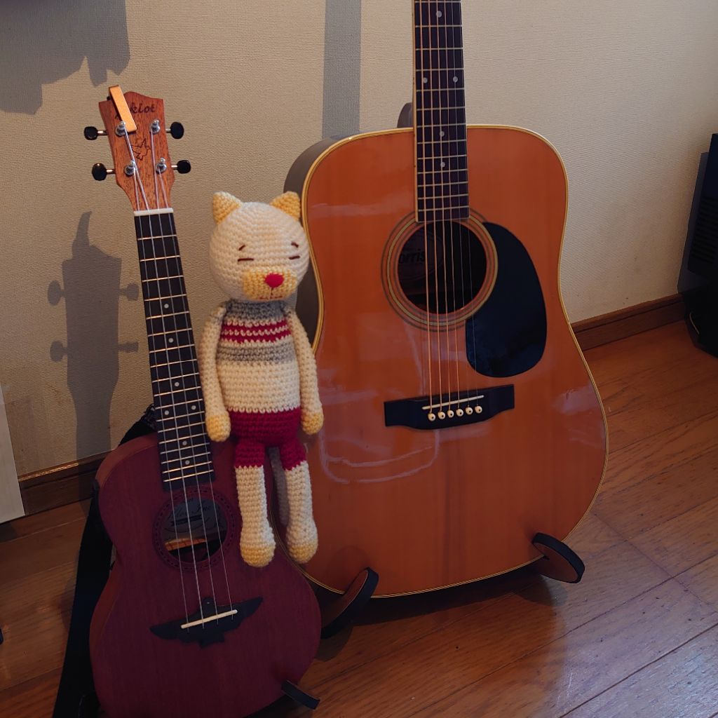 🌷🎸弾き語り☘️