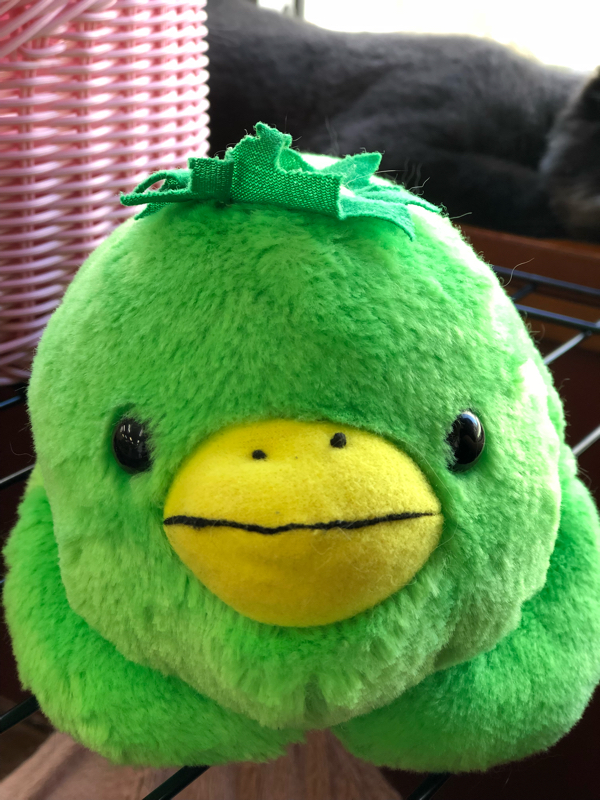 まだあったのだった